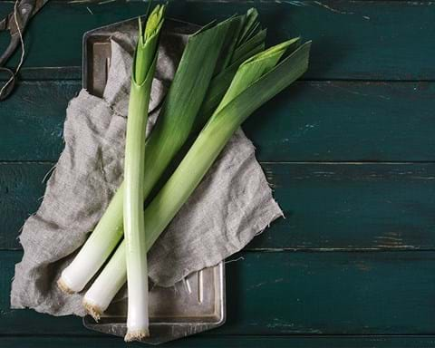 How to Grow Leeks