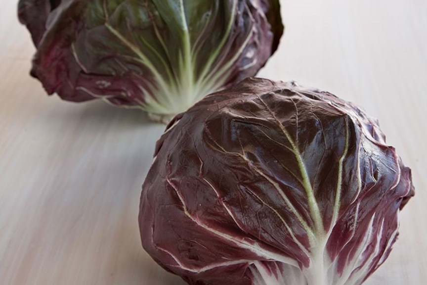 How to Grow Radicchio