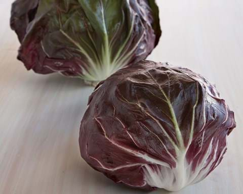 How to Grow Radicchio