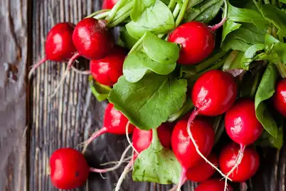 Radishes