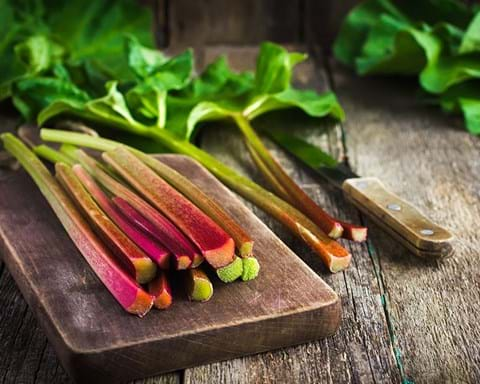 How to Grow Rhubarb