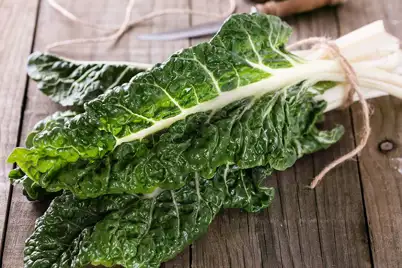 Silverbeet