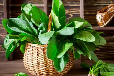 Spinach