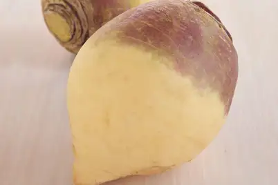 Swede