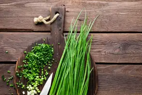 how to grow shallots 3 (1)