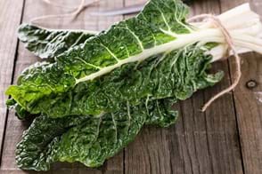 how to grow silverbeet 3 (1)