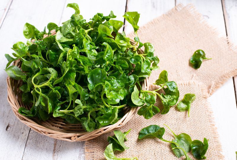 Watercress