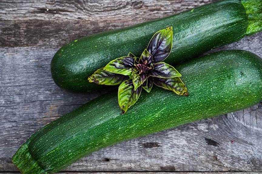 How to Grow Zucchini