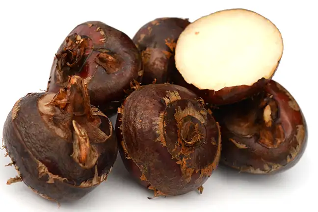 how to grow water chestnuts 2 (1)