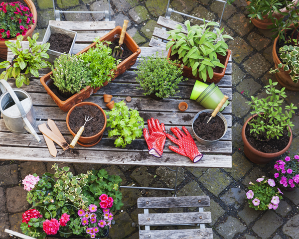 gettyimages-661775139-tools-pots-herbs-gloves-image