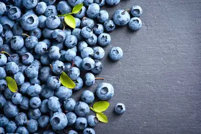 Blueberry