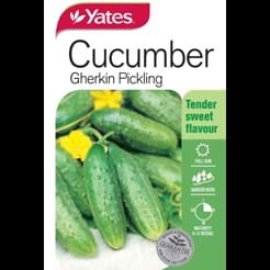 Cucumber Gherkin Pickling