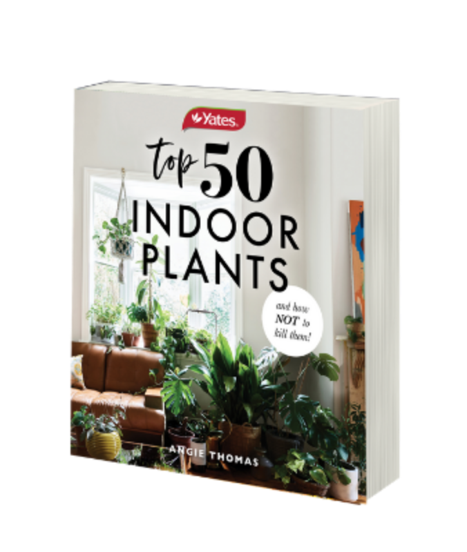 Yates Top 50 Indoor Plants Yates Gardening Australia