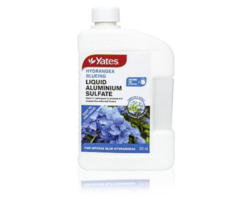 Hydrangea Blueing Liquid Aluminium Sulphate | Yates Gardening