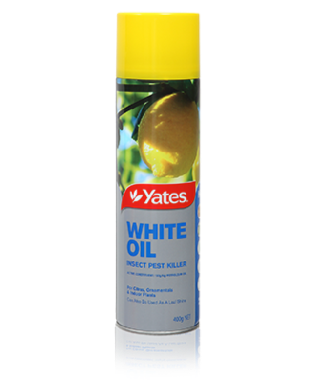 Yates White Oil Insecticide Aerosol Yates Gardening Australia