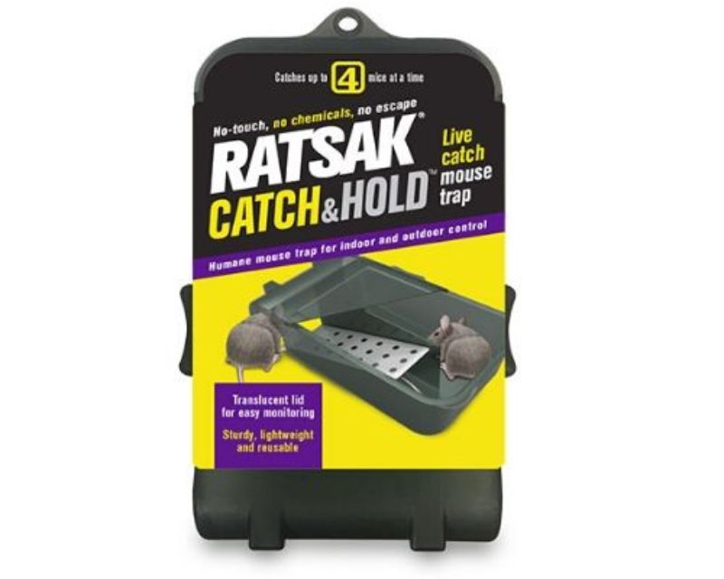 indoor mouse traps
