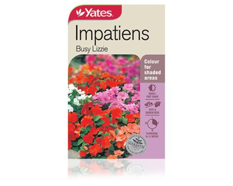 Impatiens Busy Lizzie Yates Seeds for Gardens