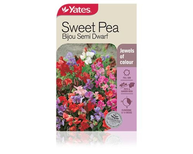 Sweet Pea Bijou Semi Dwarf | Yates Seeds for Gardens