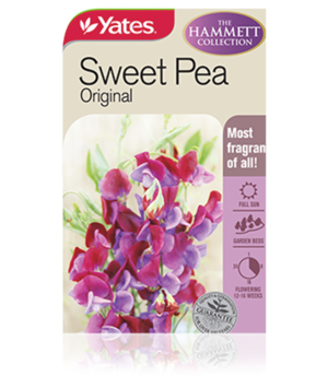 Sweet Pea Original | Yates Seeds for Gardens