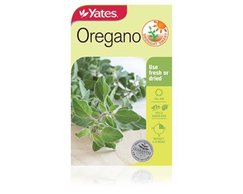 Oregano Yates Seeds for Gardens