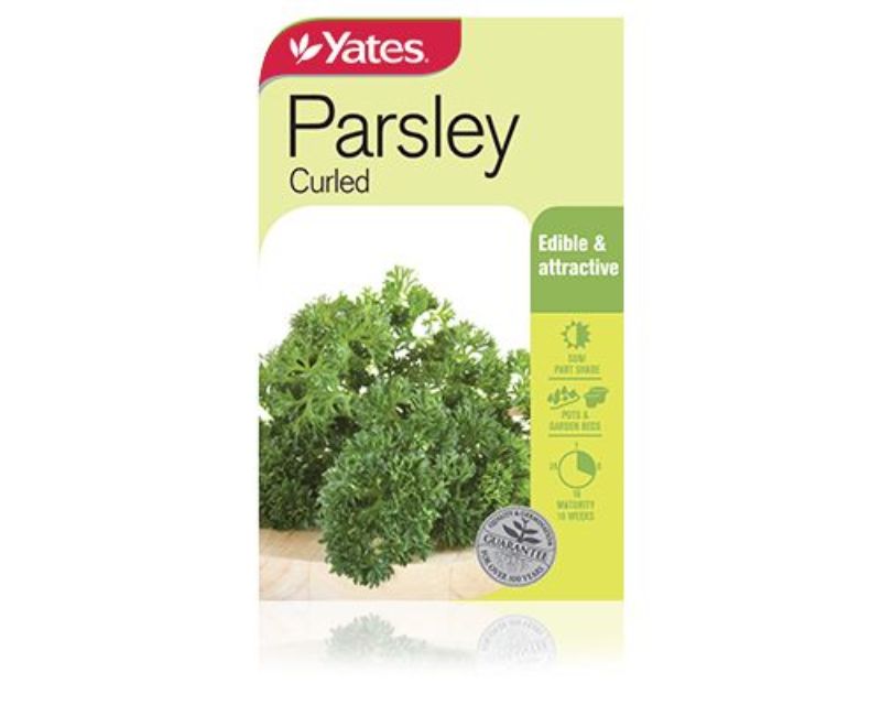 Parsley Curled Yates Seeds for Gardens