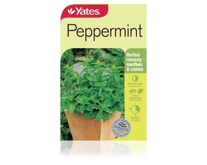 Peppermint Yates Seeds for Gardens