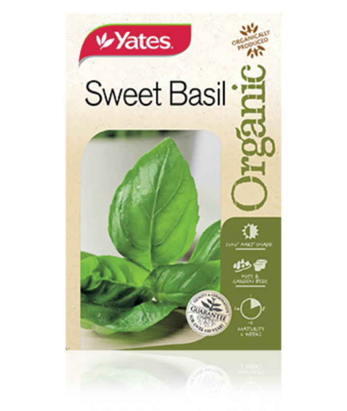 Sweet Basil Yates Seeds for Garden