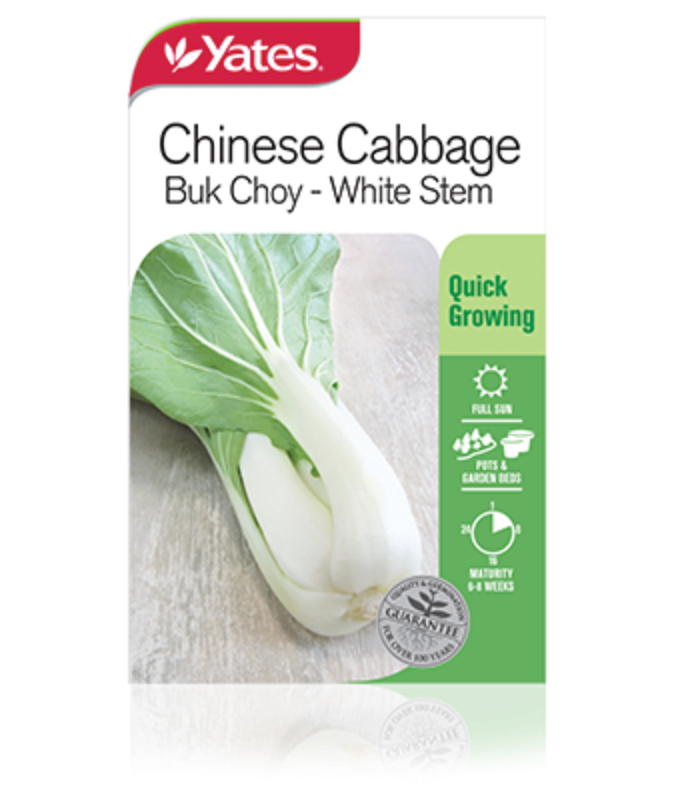choy buk vegetables steamed flavour mild