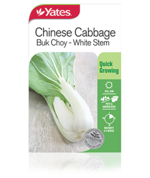 choy buk vegetables steamed flavour mild