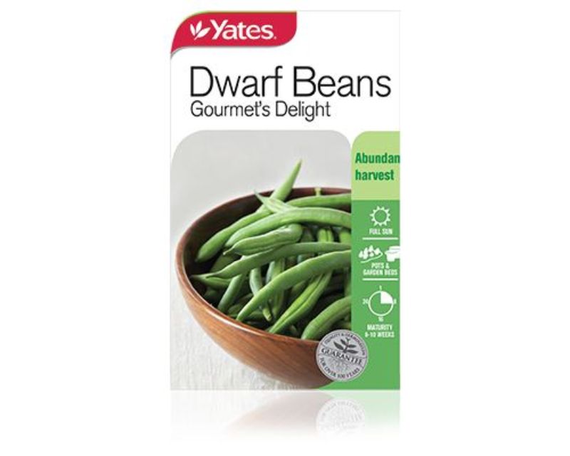 Beans Dwarf Gourmet's Delight Garden Seeds Yates Australia