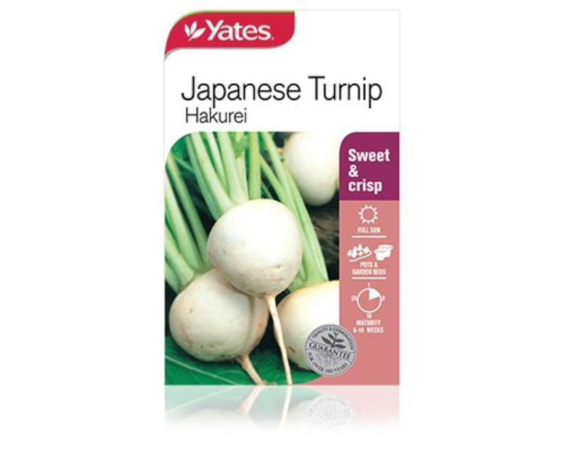 Japanese Turnip Hakurei Vegetables Yates Seeds for Gardens