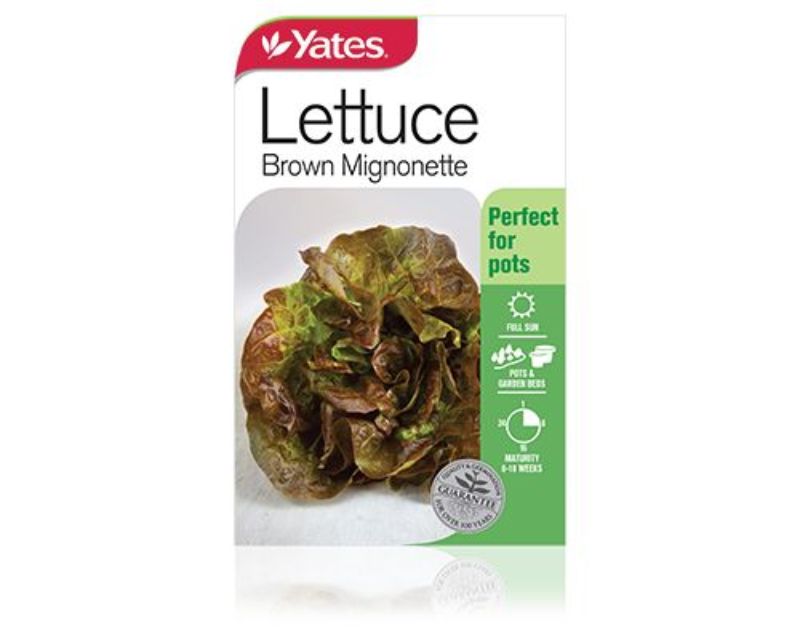 Lettuce Brown Vegetables Yates Seeds for Gardens