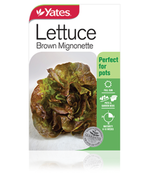 Lettuce Brown Mignonette Vegetables Yates Seeds For Gardens
