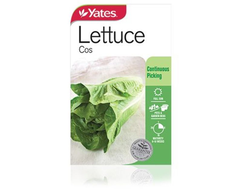 Lettuce Cos Vegetables Yates Seeds for Gardens