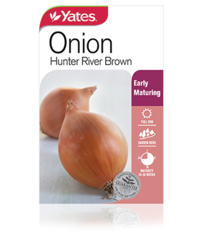 onion hunter river brown vegetables yates seeds for gardens onion hunter river brown vegetables