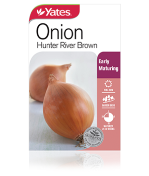 onion hunter river brown vegetables yates seeds for gardens onion hunter river brown vegetables