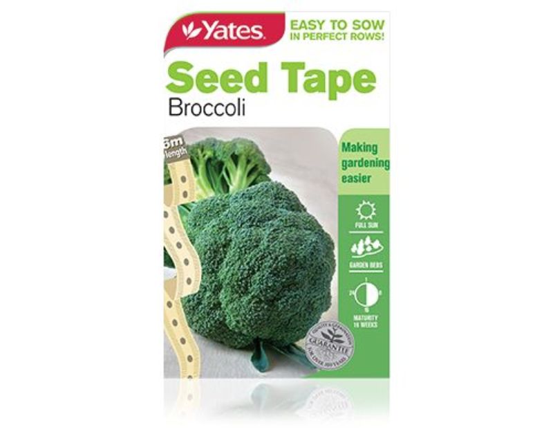 Seed Tape Broccoli Vegetables Yates Seeds for Gardens