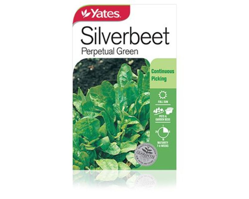 Silverbeet Perpetual Green Vegetables Yates Seeds for Gardens