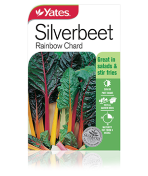 Silverbeet Rainbow Chard Vegetables Yates Seeds For Gardens
