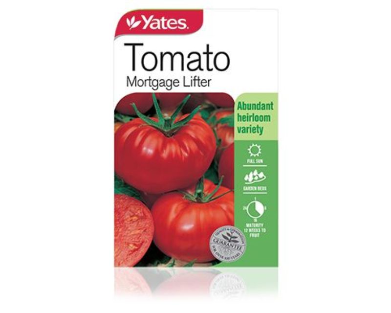 Tomato Mortgage Lifter Yates Seeds for Garden