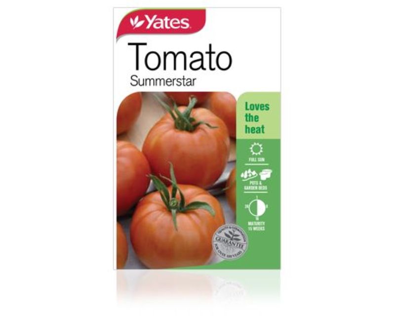 Tomato Summerstar | Yates Seeds for Garden