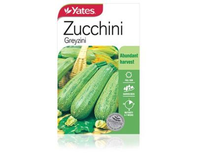 How To Grow Zucchini