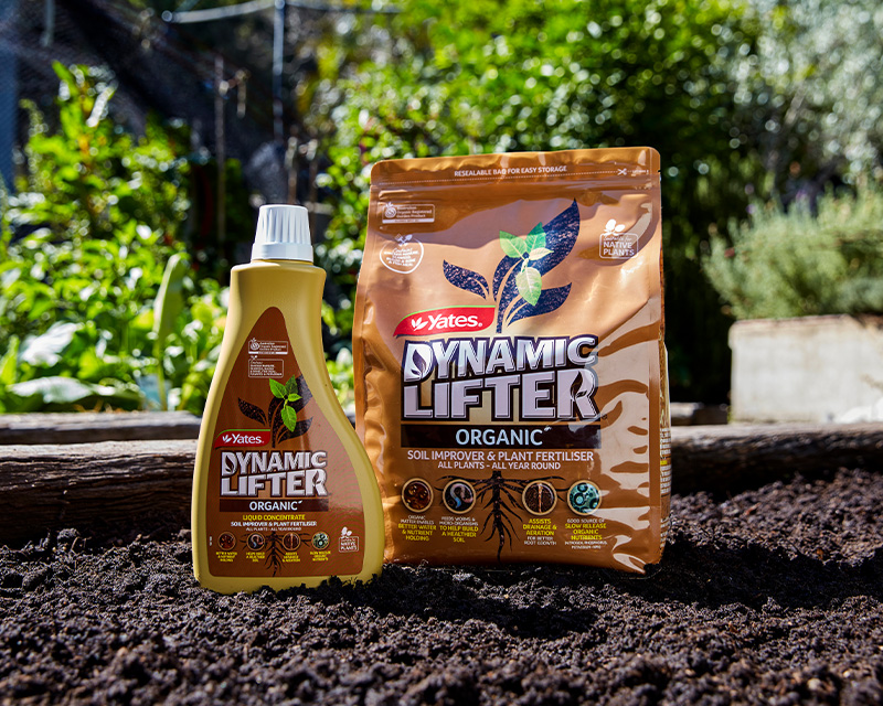 Yates Dynamic Lifter