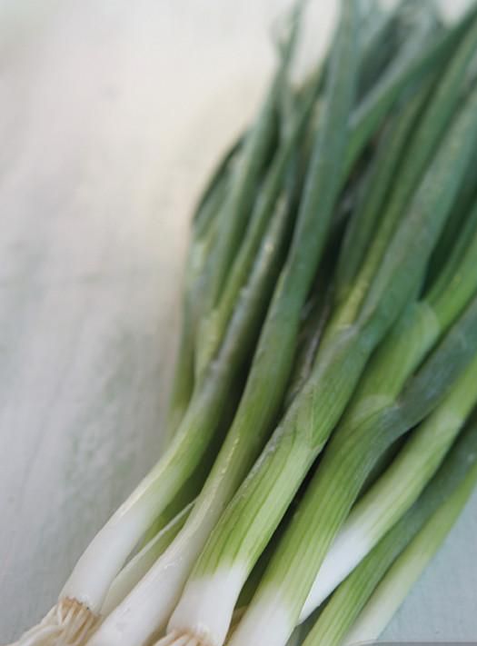 Spring Onion Straight leaf | Garden Seeds Yates Australia