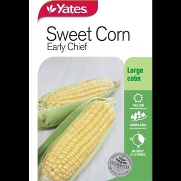 sweet-corn-early-chief