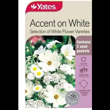 accent-on-white-selection-of-white-flower-varieties