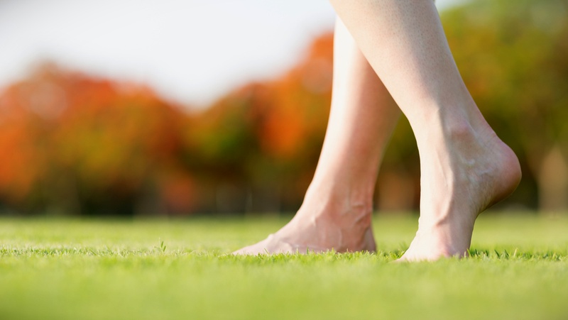 Walking On Lawn 800X451px LS