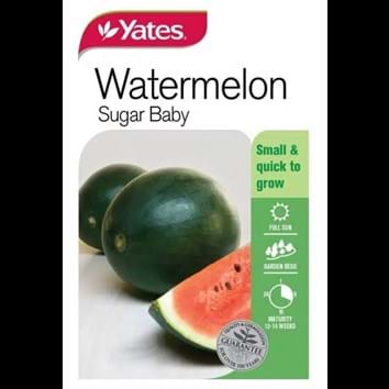 watermelon-sugar-baby