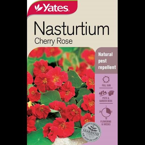 51654_Nasturtium Cherry Rose_FOP.jpg