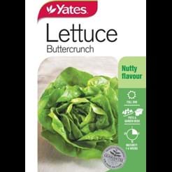 Lettuce Buttercrunch